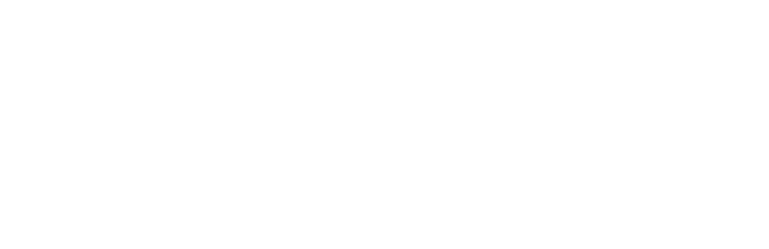 JJ System